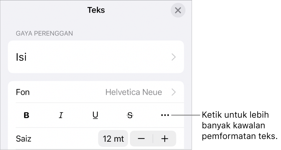 Tab Teks kawalan Format, dengan petak bual ke butang Lebih Banyak Pilihan Teks.