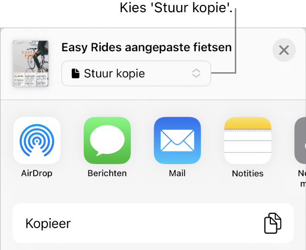 Het Deel-menu waarin bovenin 'Stuur kopie' is geselecteerd.