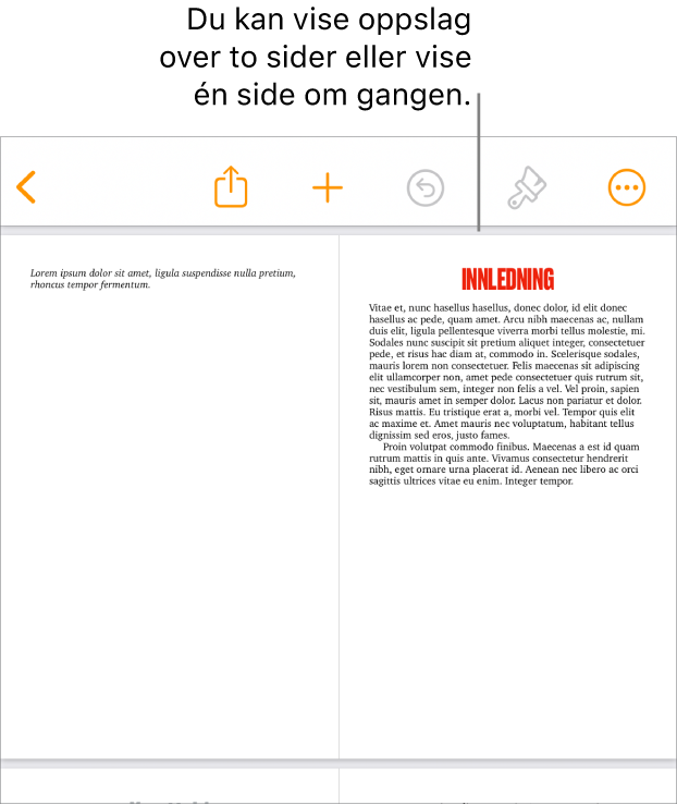 Et dokument med sider vist som tosidersoppslag.