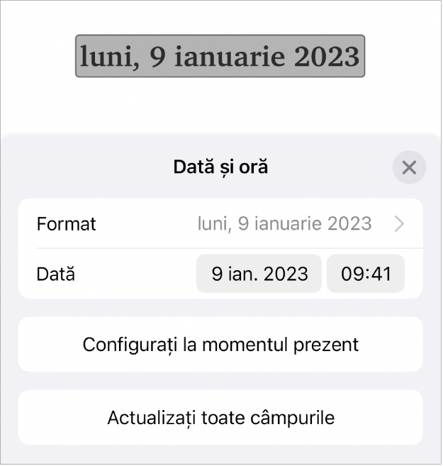 Fereastra comenzilor Dată și oră afișând un meniu pop-up pentru formatarea datei și butoanele Configurați la momentul prezent și Actualizați toate câmpurile.