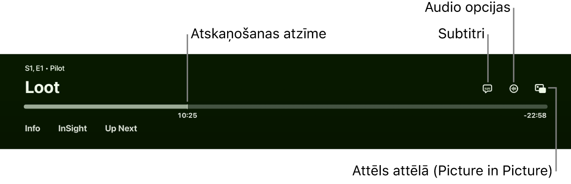 Atskaņošanas vadīklas