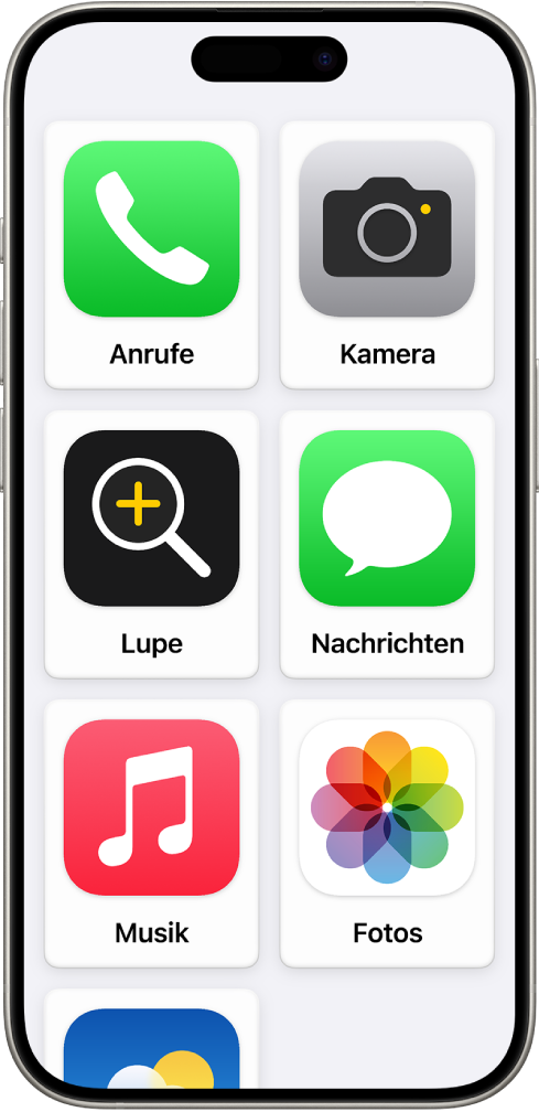 Der Home-Bildschirm eines iPhone mit Apps in einem großen Raster bei aktivierter Funktion „Unterstützender Zugriff“.