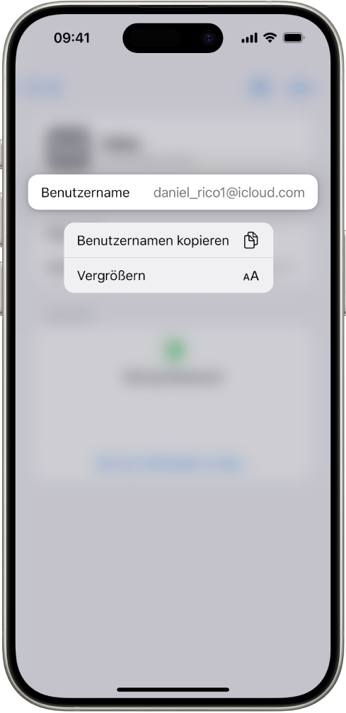 Ein Account-Bildschirm mit dem markierten Benutzernamen sowie den Optionen „Benutzernamen kopieren“ und „Vergrößern“.
