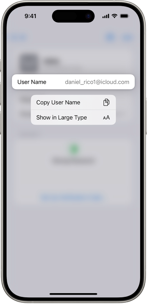 Layar akun yang menampilkan nama pengguna yang disorot, dengan pilihan salin Nama Pengguna dan Tampilkan dalam Jenis Besar.