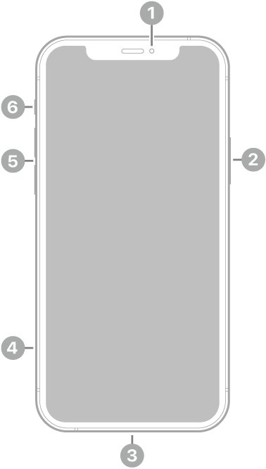 iPhone 12 Pro framifrån. Överst till höger finns den främre kameran. Sidoknappen finns på den högra sidan. Lightning-kontakten finns längst ned. Från nederkanten till överkanten på den vänstra sidan finns SIM-korthållaren, volymknapparna och reglaget för ringsignal/ljud av.