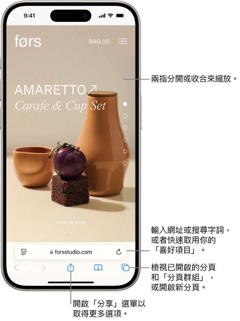在 Safari 中開啟一個網站，網址欄位在底部。螢幕底部從左到右依序是：「上一頁」、「下一頁」、「分享」、「書籤」和「分頁」按鈕。