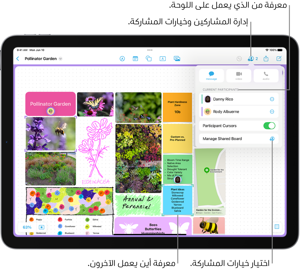 لوحة مشتركة على تطبيق المساحة الحرة على iPad تظهر بها قائمة التعاون مفتوحة وموقع المشارك الآخر على اللوحة مميز بعلامات تحديد أرجوانية.