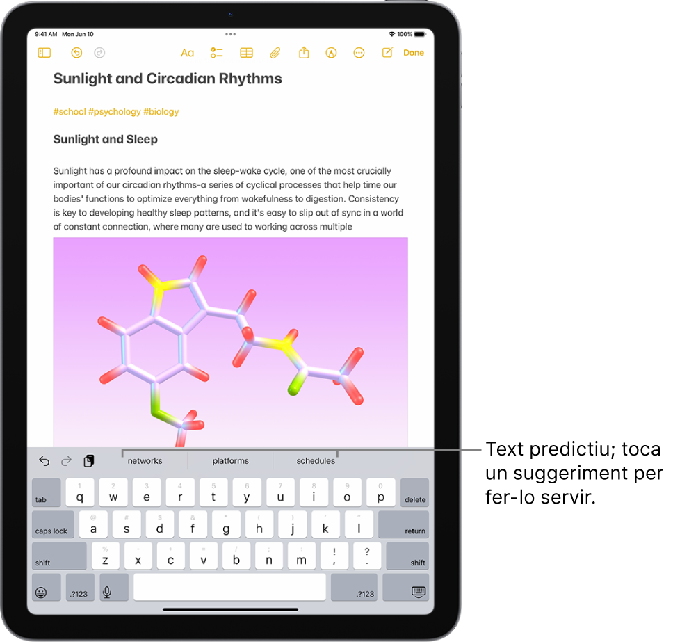A l’app Notes es mostra el teclat en pantalla. En introduir text al camp de text, apareixen suggeriments de text predictiu per a la propera paraula a dalt del teclat.