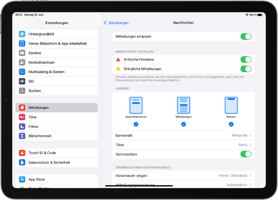 iPad mit Einstellungen für Mitteilungen und Hinweise für die App „Nachrichten“.