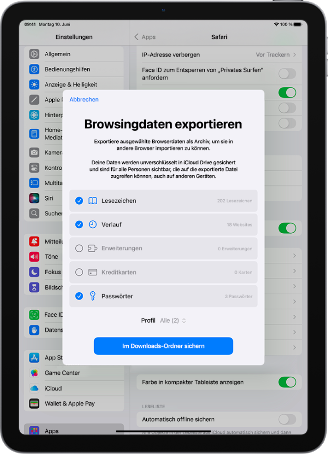 Der Bildschirm „Browsingdaten exportieren“ mit den Daten, die du von Safari in einen anderen Browser exportieren kannst.