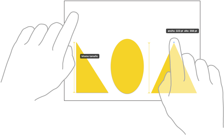 Dos dedos de dos manos seleccionan e igualan los tamaños de dos ítems en Freeform.