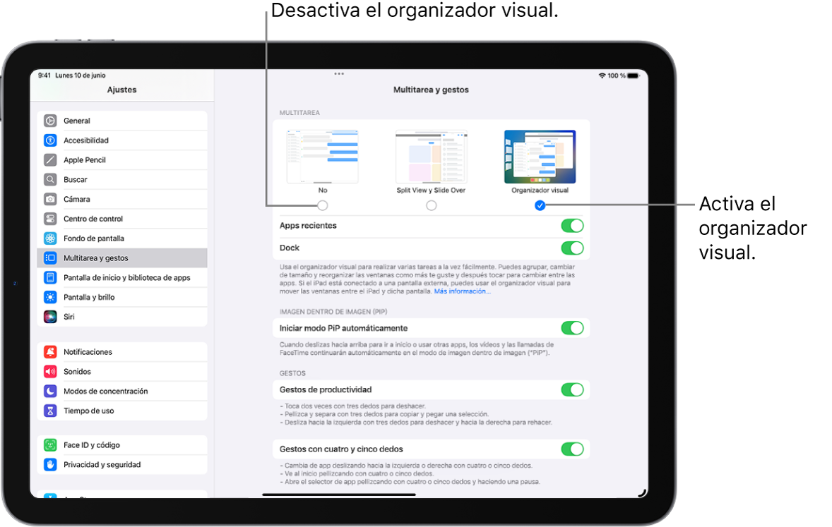 La pantalla Ajustes para activar o desactivar el organizador visual.