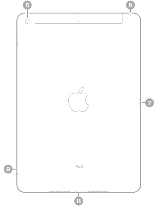 Az iPad hátulnézete, amelyen a feliratok bal felső részen lévő hátoldali kamerára, a jobb felső részen lévő fejhallgatócsatlakozóra, a jobb oldalon lévő Smart Connectorra, a készülék aljának közepén lévő Lightning-csatlakozóra, a bal alsó részen lévő SIM-tálcára (Wi-Fi + Cellular) mutatnak.