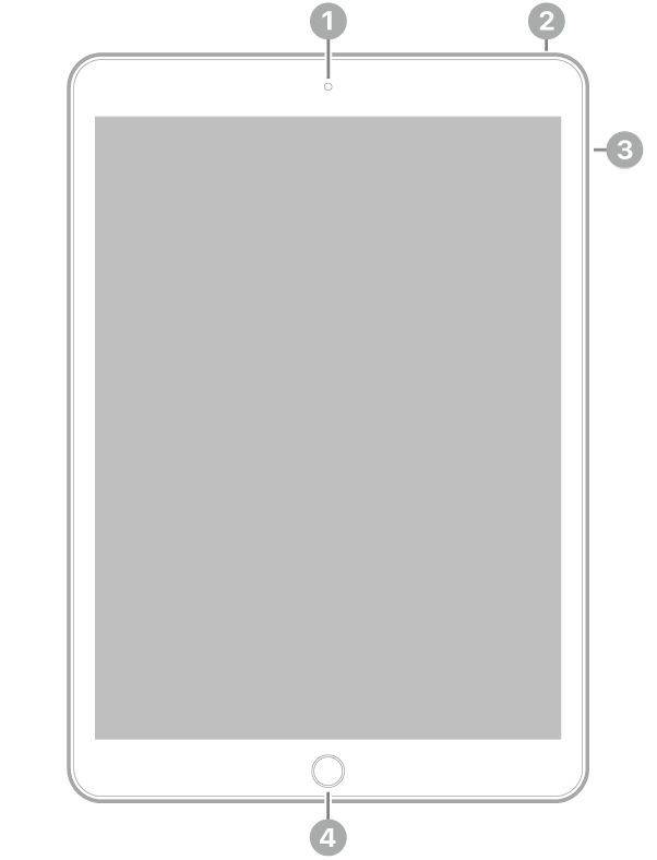 Az iPad elölnézete, amelyen a feliratok a készülék tetejének közepén lévő előlapi kamerára, a jobb felső részen lévő felső gombra, a jobb oldalon lévő hangerőgombokra és a készülék aljának közepén lévő Főgombra/Touch ID-ra mutatnak.