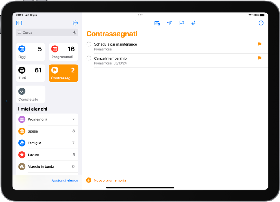 Una schermata di Promemoria che mostra un elenco smart con tutti gli elementi contrassegnati.