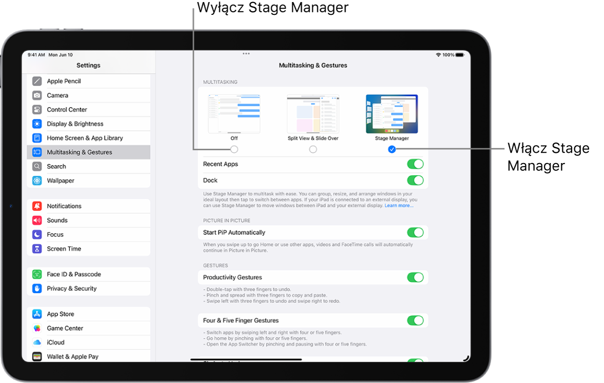 Ekran Ustawień z możliwością włączenia lub wyłączenia widoku Stage Manager.