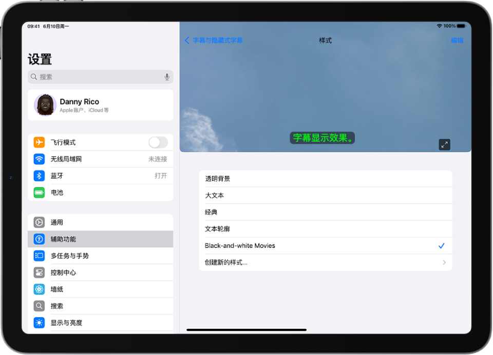 iPad 显示带有自定义样式的字幕示例。