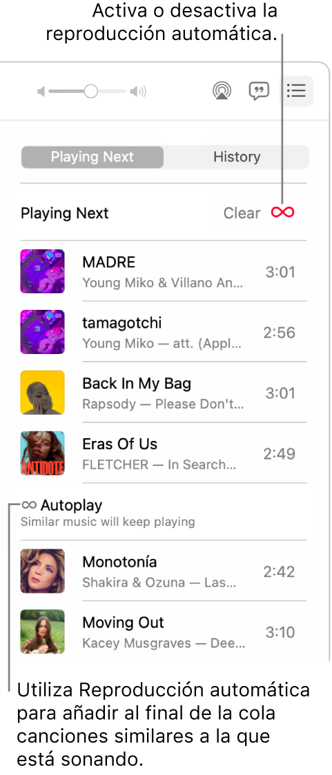 La fila Siguiente. Haz clic en el botón Reproducción automática para activar o desactivar la función. Cuando está activada la reproducción automática, se agregan canciones similares al final de la fila.