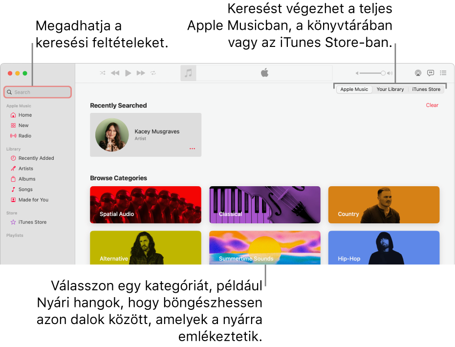 Az Apple Music ablaka a keresési mezővel a bal felső sarokban, a kategóriák listájával az ablak közepén, valamint az Apple Music, a Könyvtár és az iTunes Store elemekkel a jobb felső sarokban. Adja meg a keresési feltételeket a keresési mezőben, majd válassza ki, hogy az Apple Musicban, csak a saját könyvtárában vagy az iTunes Store-ban szeretne keresni.