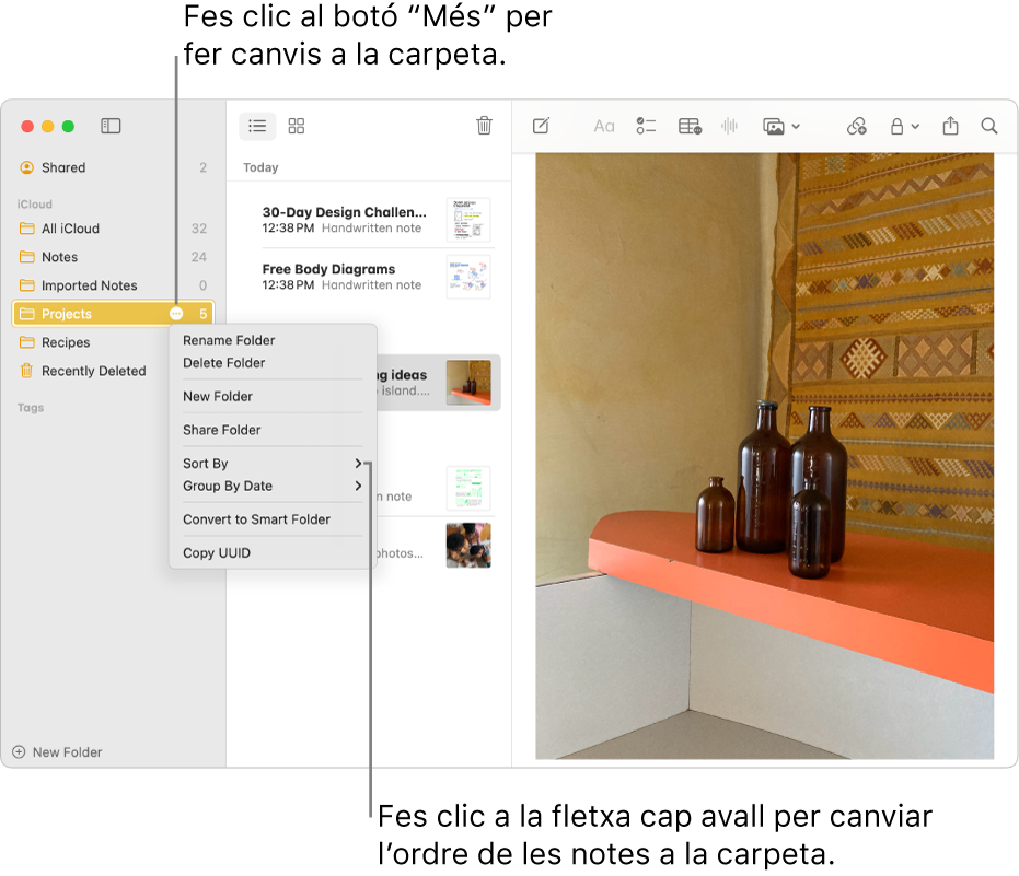 La finestra de l’app Notes del Mac amb una carpeta a la barra lateral que mostra el botó “Més”, amb el qual pots fer canvis a una carpeta. A sobre de la llista de notes del centre hi ha l’opció d’ordenació, que canvia l’ordre de les notes: fes clic a la fletxa per seleccionar un ordre diferent.