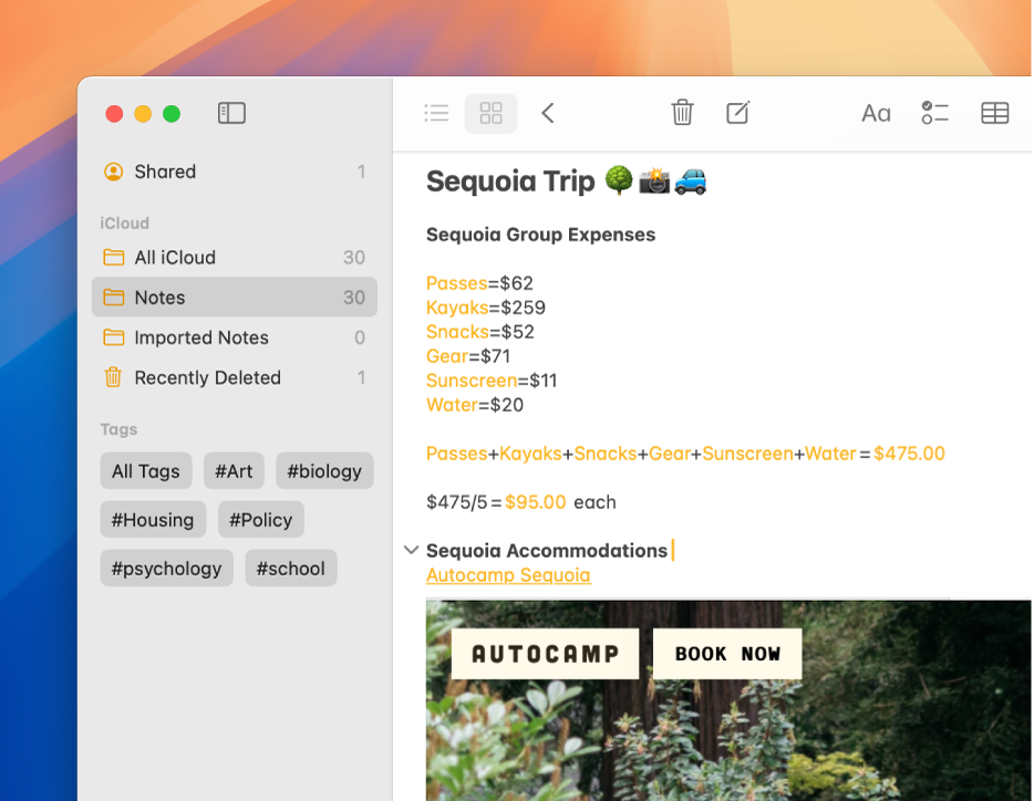 Mac पर नोट्स ऐप की एक क्रॉप की गई विंडो जिसमें पास, कयाक, सनस्क्रीन और पानी सहित विभिन्न ख़र्चे दिखाए गए हैं। यह नोट जोड़ और भाग की समस्याओं को ऑटोमैटिकली इनलाइन हल करता है।