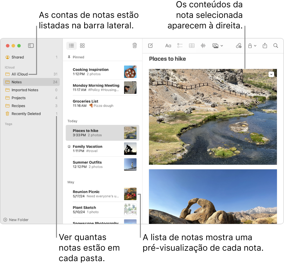 A janela da aplicação Notas no Mac com todas as suas contas configuradas e pastas listadas na barra lateral à esquerda, a lista de notas ao centro a mostrar uma pré‑visualização de cada nota e o conteúdo da nota selecionada apresentado à direita. O número de notas aparece ao lado de cada pasta.