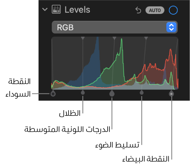 عناصر تحكم المستويات في الجزء ضبط، تُظهر مدرج RGB التكراري بمقابض أدناه، وتشمل (من اليمين إلى اليسار) النقطة السوداء والظلال والدرجات اللونية المتوسطة والتمييزات، والنقطة البيضاء.