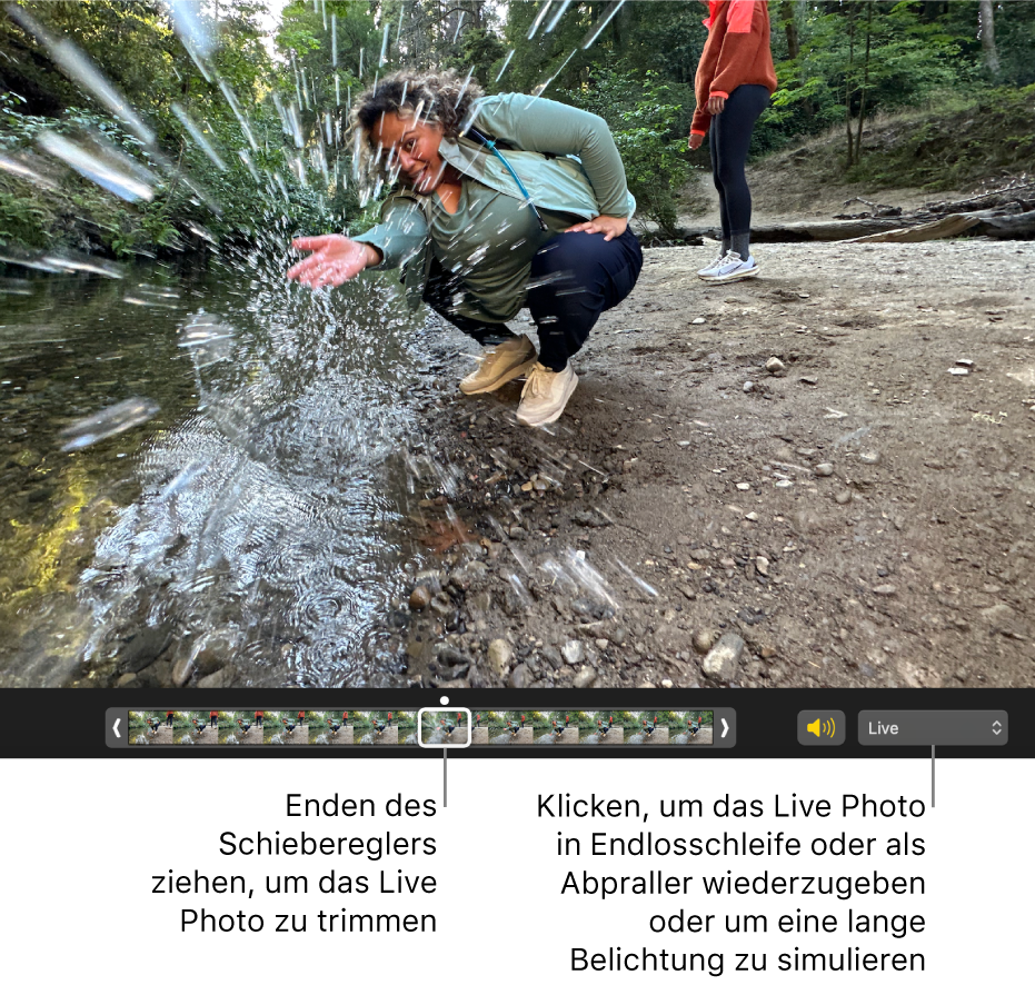 Ein Live Photo in der Bearbeitungsansicht mit einem Regler darunter, der die Bilder des Fotos zeigt. Rechts neben dem Schieberegler befinden sich die Lautsprechertaste und ein Einblendmenü, mit dem Effekte für Endlosschleifen, Abpraller oder Langzeitbelichtungen hinzugefügt werden können.