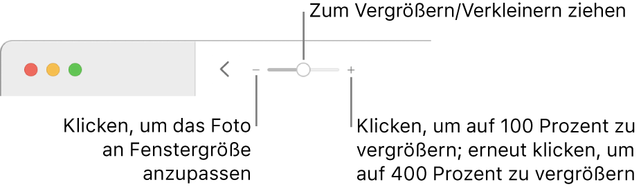 Die Symbolleiste mit den Zoomsteuerungen.