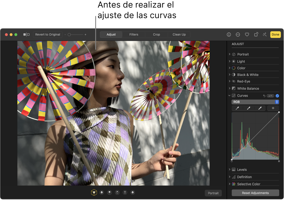 Una foto antes de ajustar Curvas.