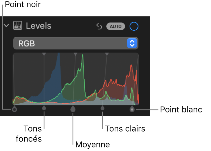 Les commandes de niveaux dans la sous-fenêtre Ajuster, montrant l’histogramme RVB au-dessus de poignées, notamment (de gauche à droite) point noir, ombres, tons intermédiaires, tons clairs et point blanc.