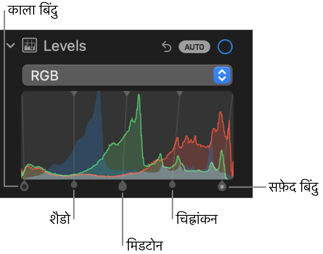 ब्लैक पॉइंट, शैडो, मिडटोन, चिह्नांकन और ह्वाइट पॉइंट (बाएँ से दाएँ) सहित नीचे की ओर दिया गया हैंडल वाला RGB हिस्टोग्राम दिखाता ऐडजस्ट करें पेन में स्तर नियंत्रण।