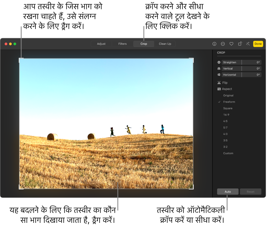 टूलबार में क्रॉप करें चयन, तस्वीर के चारों ओर आयताकार चयन और स्ट्रेटनिंग स्लाइडर, ऐस्पेक्ट रेशियो विकल्प और दाईं ओर ऑटो और रीसेट बटन के साथ संपादन दृश्य में तस्वीर।