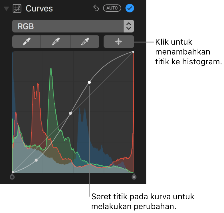 Kontrol Kurva di panel Sesuaikan, menampilkan dan tombol Tambah Titik di kanan atas serta histogram RGB di bawah.