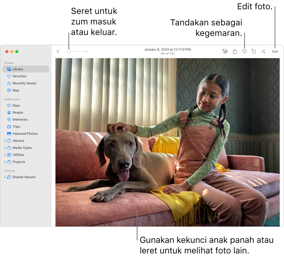 Tetingkap Foto menunjukkan foto dibesarkan di sebelah kanan. Bar alat di bahagian atas termasuk gelangsar Zum, butang Kegemaran dan butang Edit.