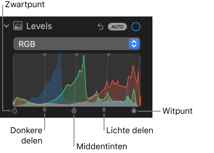 De niveauregelaars in het paneel 'Pas aan', met het RGB-histogram en daaronder grepen met (van links naar rechts) zwartpunt, donkere delen, middentinten, lichte delen en witpunt.