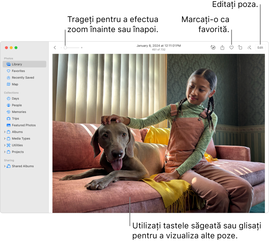 Fereastra Poze afișând în partea dreaptă o poză mărită. Bara de instrumente din partea de sus include glisorul Zoom, butonul Favorite și butonul Editează.