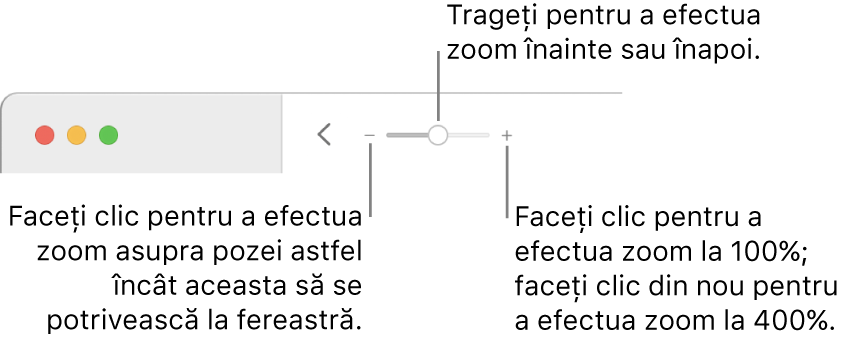 Bara de instrumente afișând comenzile de zoom.