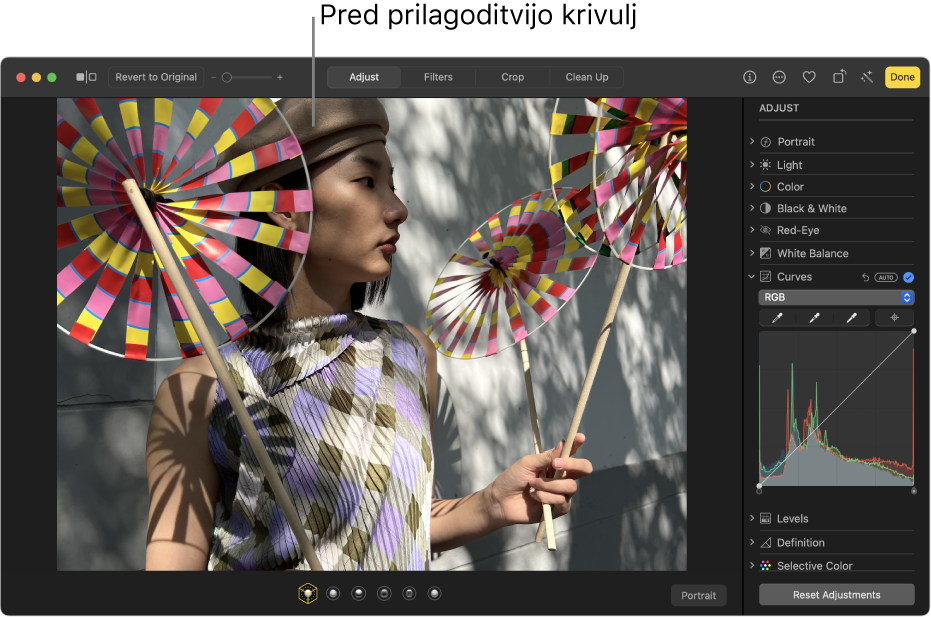 Fotografija pred prilagoditvami s funkcijo Krivulje.