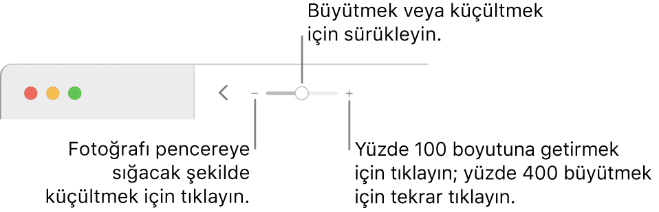 Büyütme denetimlerini gösteren araç çubuğu.