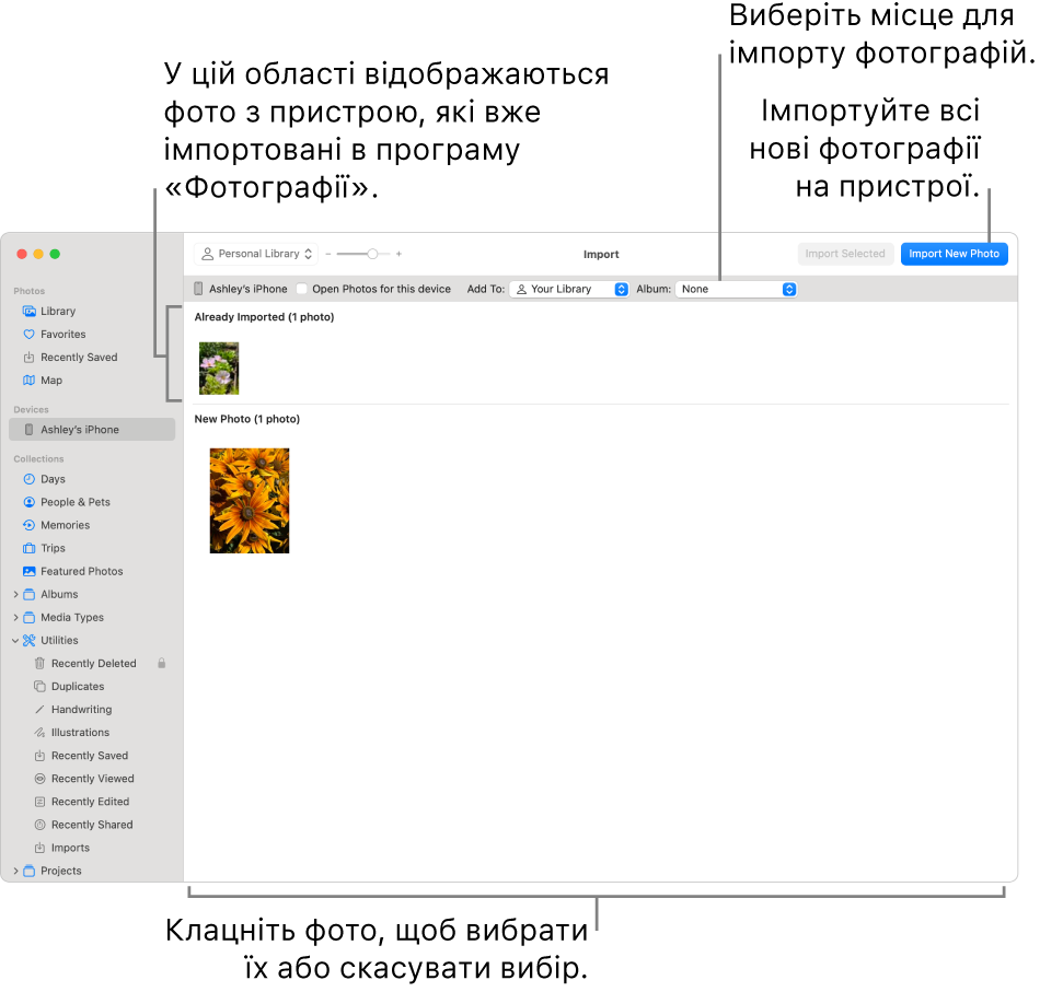 Фотографії на пристрої, які вже імпортовано, відображаються вгорі вікна імпортування, нові фотографії — внизу. Вгорі посередині спливне меню «Альбом». Кнопки імпортування розташовані вгорі праворуч.