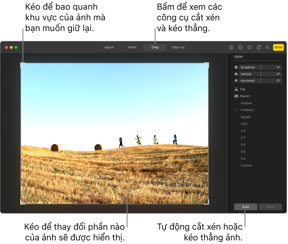 Một ảnh ở chế độ sửa, với Cắt xén được chọn trong thanh công cụ, hình chữ nhật chọn quanh ảnh và thanh trượt nắn thẳng, tùy chọn tỷ lệ khung hình và các nút Tự động và Đặt lại ở bên phải.