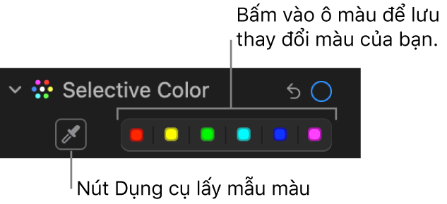 Các điều khiển Màu có lựa chọn trong khung Điều chỉnh, đang hiển thị nút Dụng cụ lấy mẫu màu và ô màu.