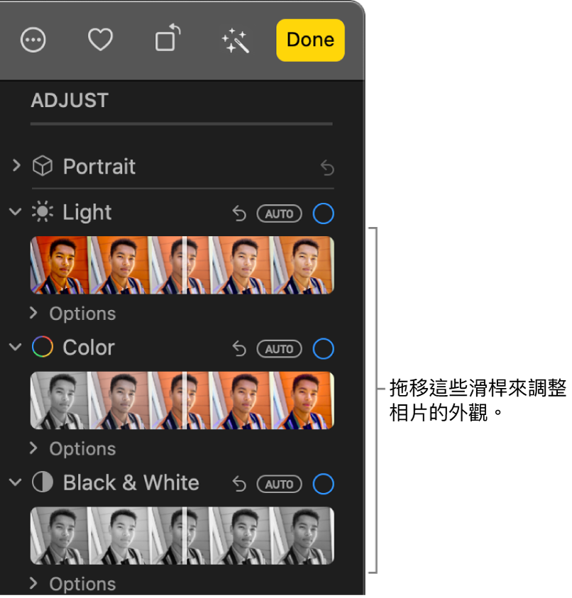 「調整」面板中的「光線」、「顏色」或「黑白」滑桿。 每個滑桿上都有一個「自動」按鈕。