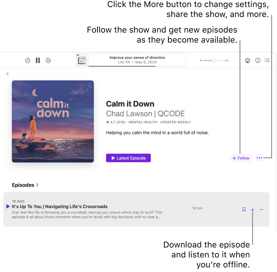 An information page for a podcast, showing the Follow, More, and Download buttons.