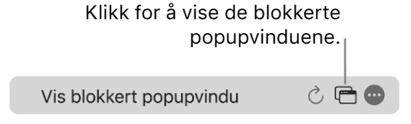 Det smarte søkefeltet med en knapp for å vise blokkerte popupvinduer.