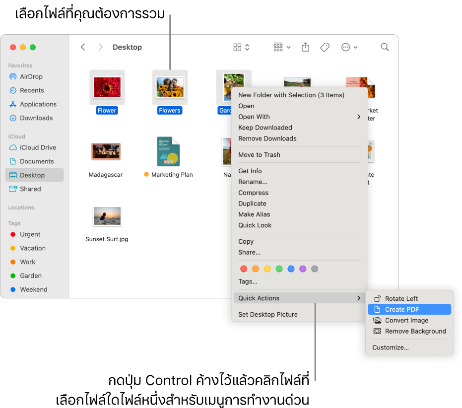 หน้าต่าง Finder ที่มีไฟล์และโฟลเดอร์ ซึ่งมีสามไฟล์ถูกเลือกอยู่และสร้าง PDF ถูกไฮไลท์อยู่ในเมนูการทำงานด่วน