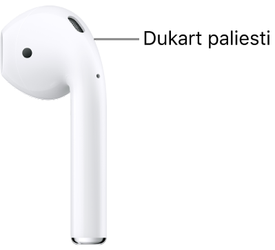 „AirPods 1“ ar „AirPods 2“ kojelės viršuje esanti vieta, kurią galima paliesti dukart.