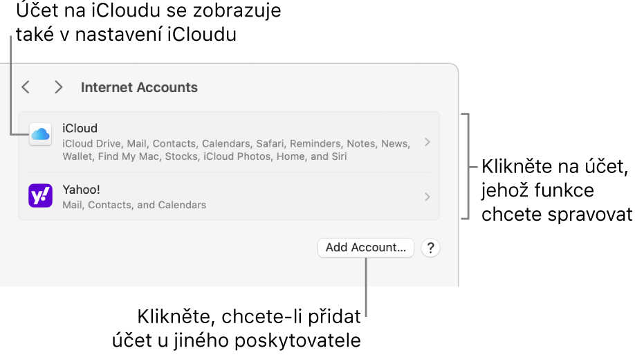 Nastavení Internetové účty se seznamem účtů nastavených na Macu