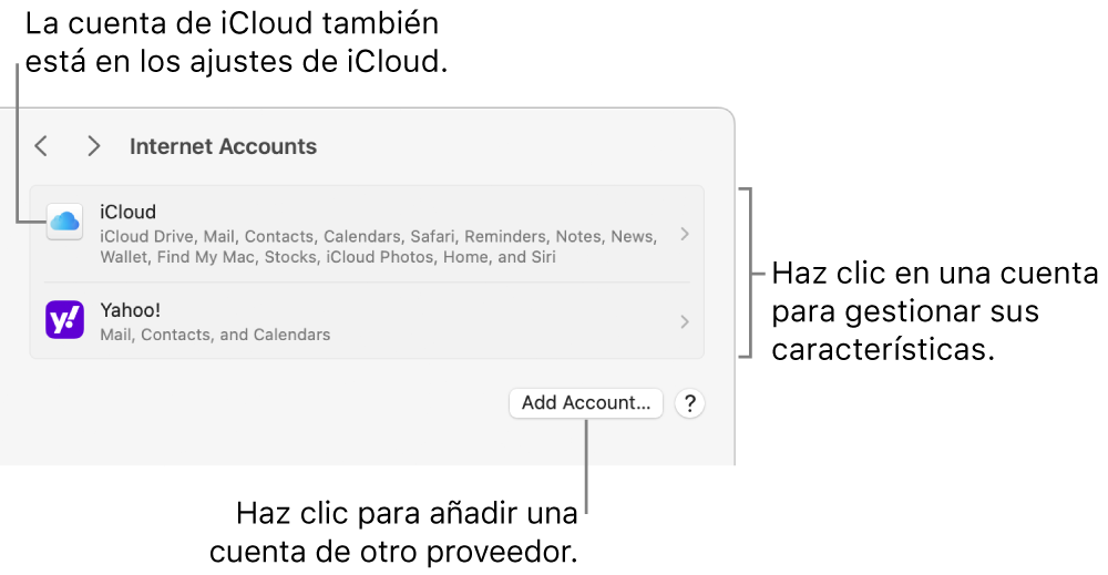 Ajustes de las cuentas de internet con una lista de las cuentas que se hayan configurado en el Mac.